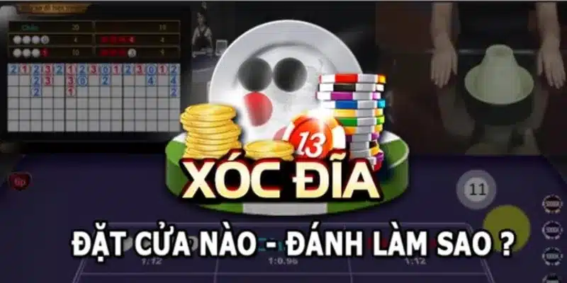 Những Chuẩn Bị Cần Thiết Trước Khi Chơi